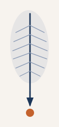 KleioNord quill logo